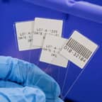 Microscoopobjectglaasjes met witte labels.